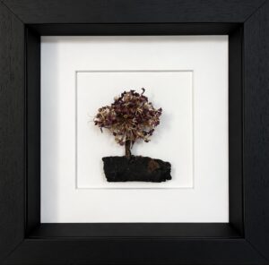 Burgundy and Gold Floral Tree with Irish Peat Base – 10 Inch Frame