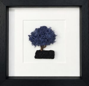Blue Preserved Moss Tree – Handmade Irish Framed Art
