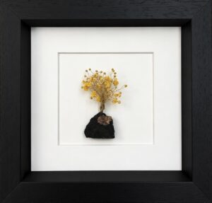 8" Frames