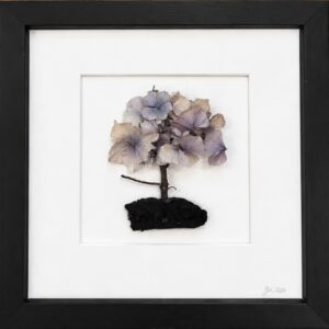 10" Frames