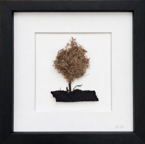 Rustic Woodland Tree – Handmade Dried Botanical Framed Art | 10 Inch
