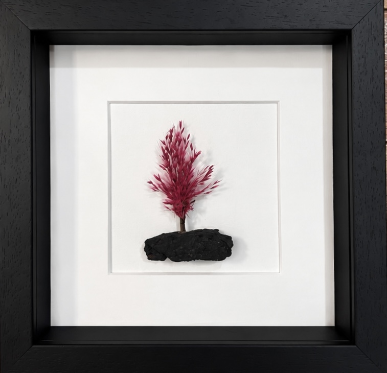 Pink Floral Tree with Irish Peat Base – 9 Inch Frame