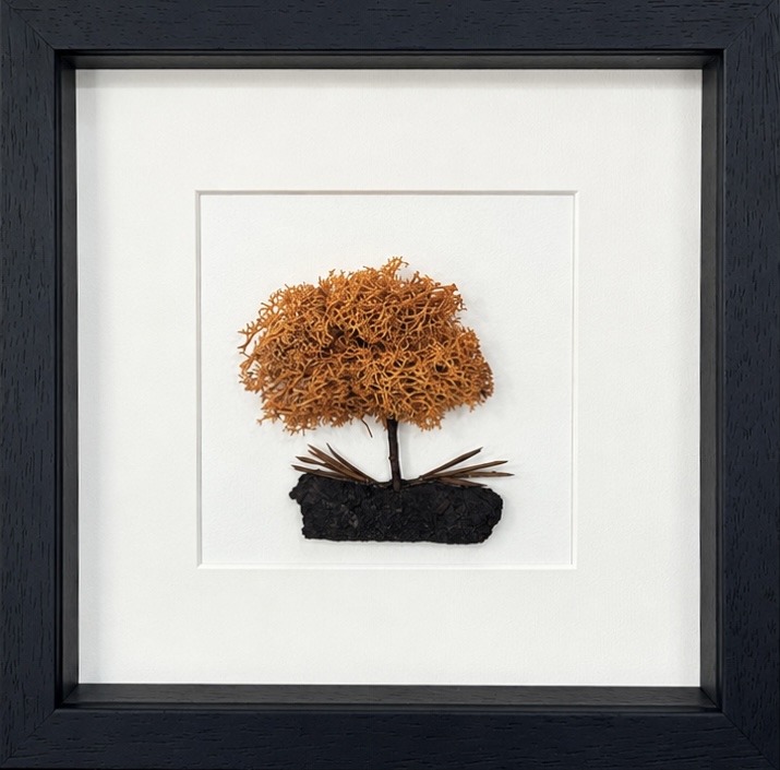 Autumn Orange Preserved Moss Tree – Handmade Irish Framed Art