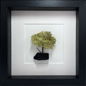 9" Frames